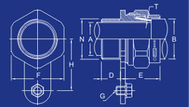 Cable Glands