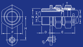 Cable Glands