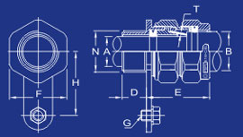 Cable Glands